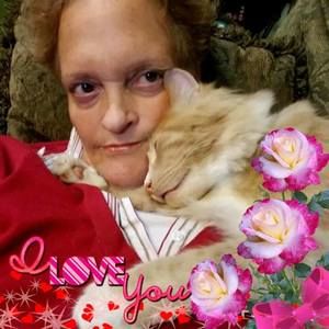 Meet your Posher, Liz